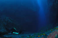 Northern Arch, Poor Knights Islands