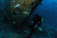 Northern Arch, Poor Knights Islands