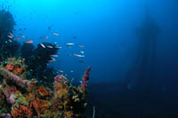 Nippo Maru Truk Lagoon