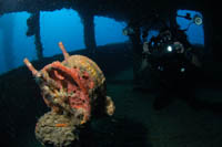 Nippo Maru Truk Lagoon