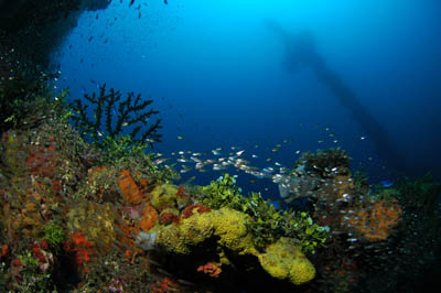 Hoki Maru Truk Lagoon