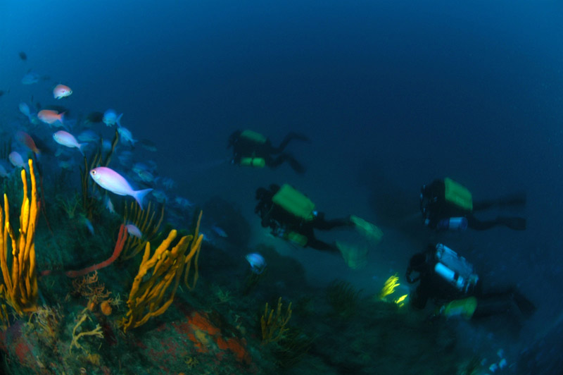 Twelve fathom reef