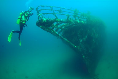 Skip's Underwater Image Gallery > New Zealand Image Gallery 2