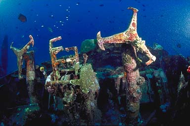 Skip's Underwater Image Gallery > Tropical Images