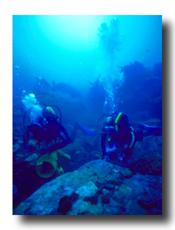 Skip's Underwater Image Gallery > Three Kings Adventure