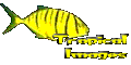 Tropical Images